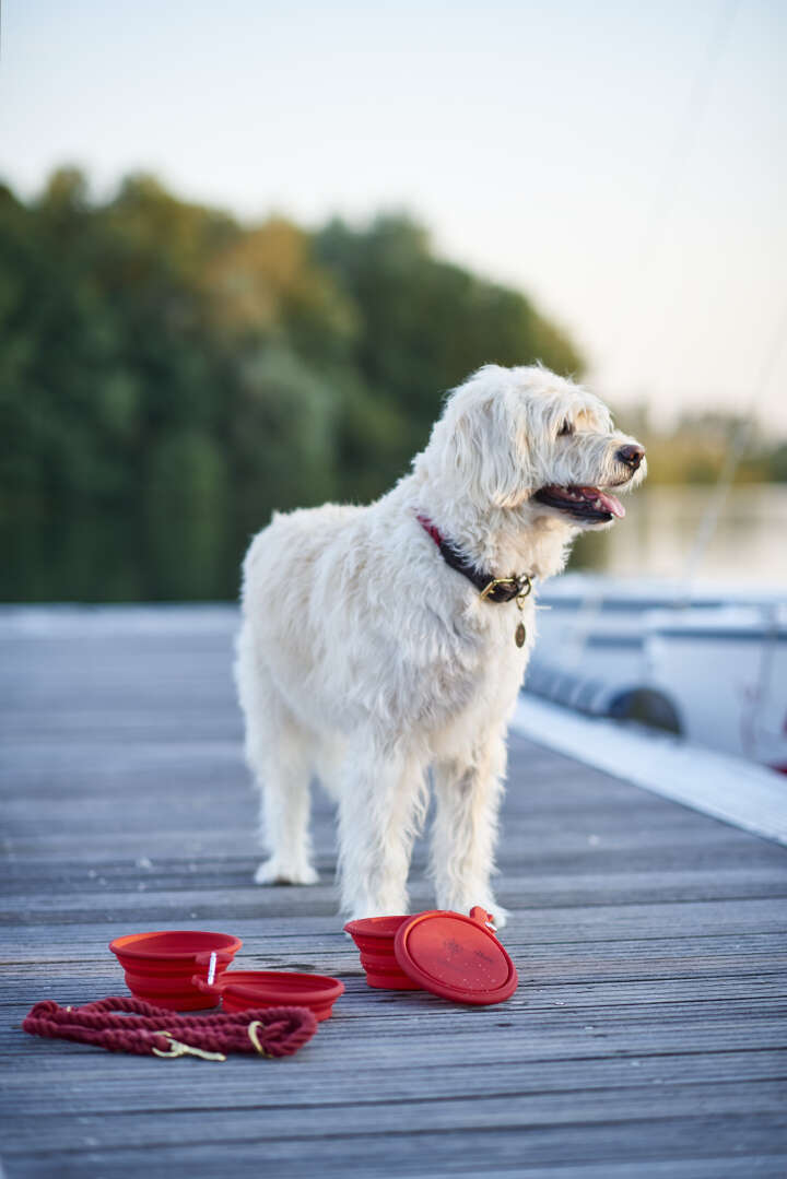 HUNTER Silikon-Reisenapf List